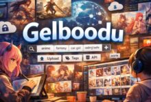 gelboodu